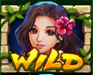 winph-hawaii-beauty-slot-feature-wild-winph365