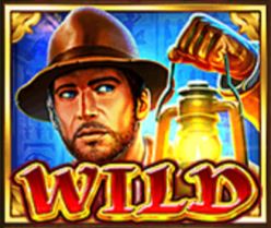 winph-book-of-gold-slot-features-wild-winph365